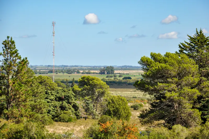 A rural landscape with trees and a radio mast in the distance