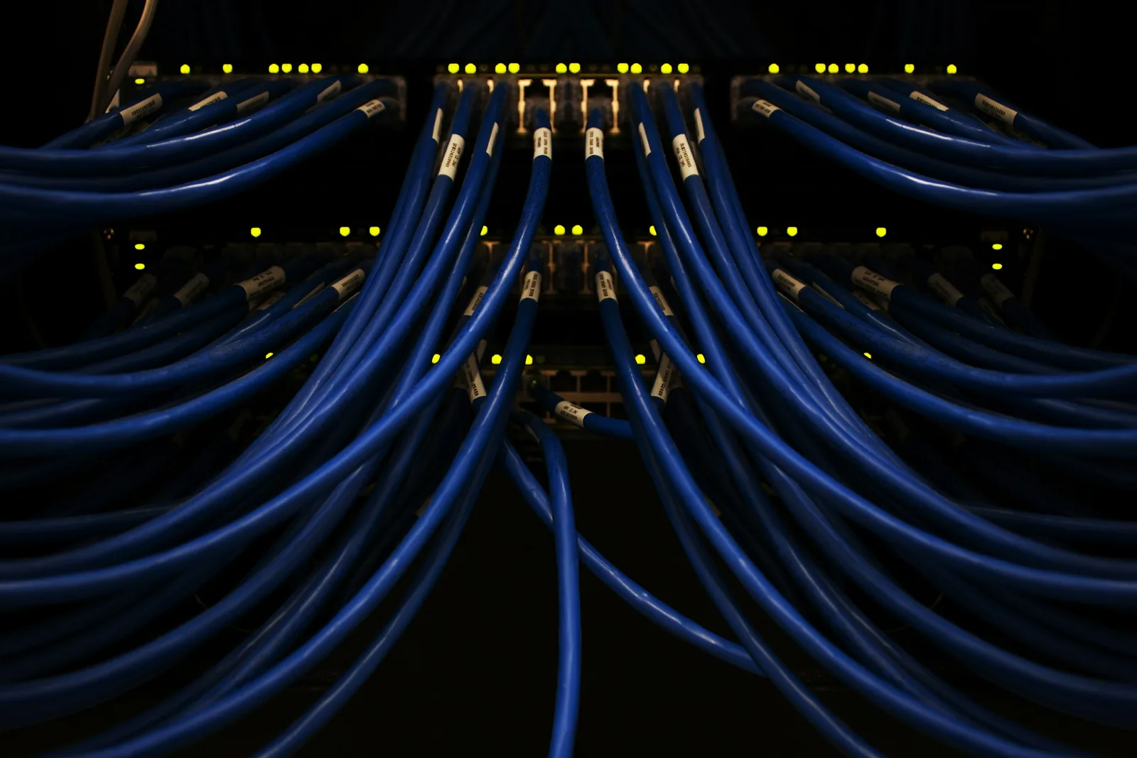 A bundle of blue network cables plugged into a switch