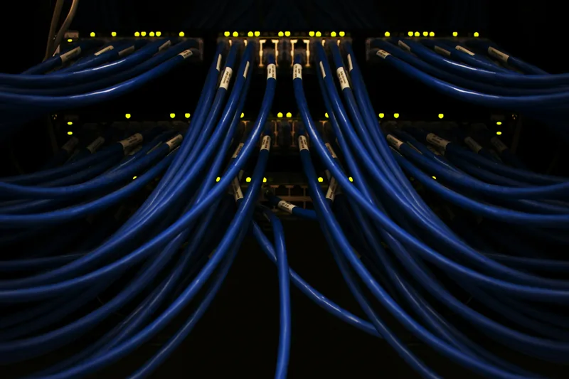 A bundle of blue network cables plugged into a switch